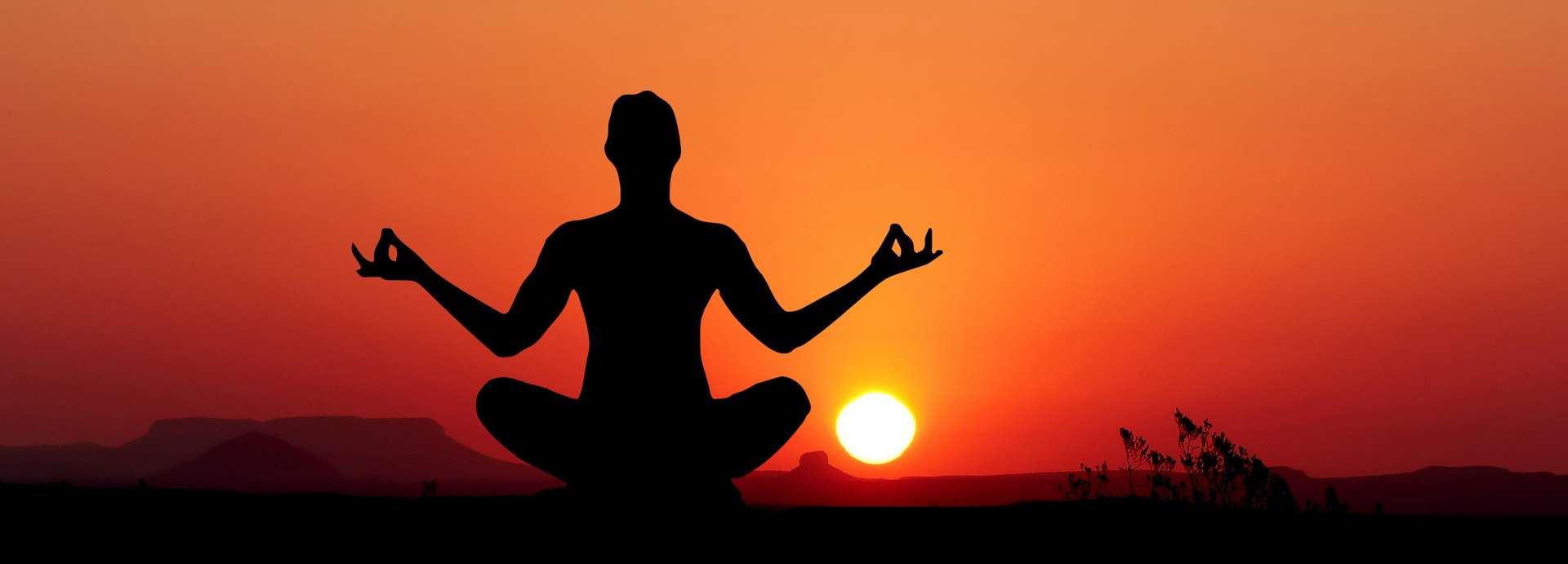 Mindfulness et Psychologie positive