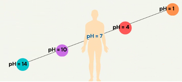Boimagnétisme - équilibre pH