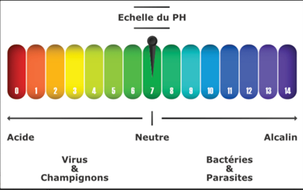 Biomagnétisme - échelle du pH